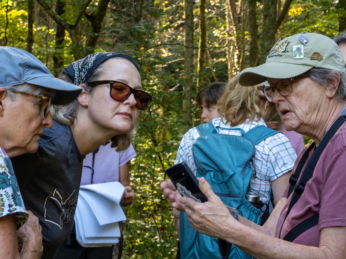 Participants gather closely around a naturalist sharing a field observation during a guided woodland hike.