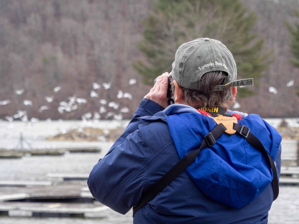 A bird watcher raises binoculars toward a flock flying over winter water.